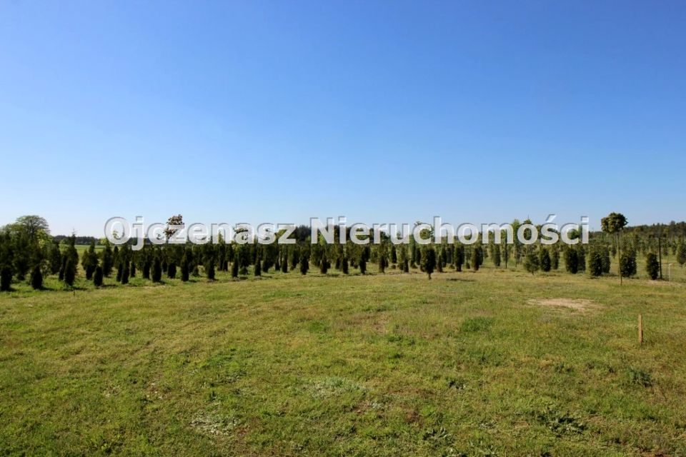 Dom wolnostojący sprzedaż