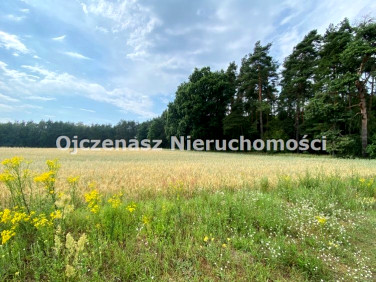 Działka budowlana Nekla sprzedam