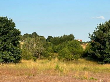 Działka budowlana Gardna Wielka sprzedam