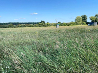 Działka budowlana Studzieniec