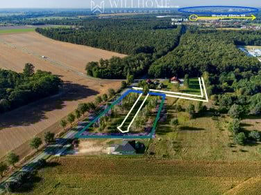 Działka Twardogóra