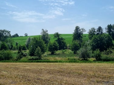 Działka budowlana Lutom sprzedam