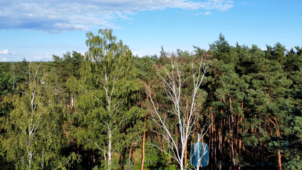 Działka budowlana Tomaszew