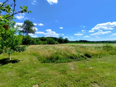 Działka budowlana Baciuty-Kolonia