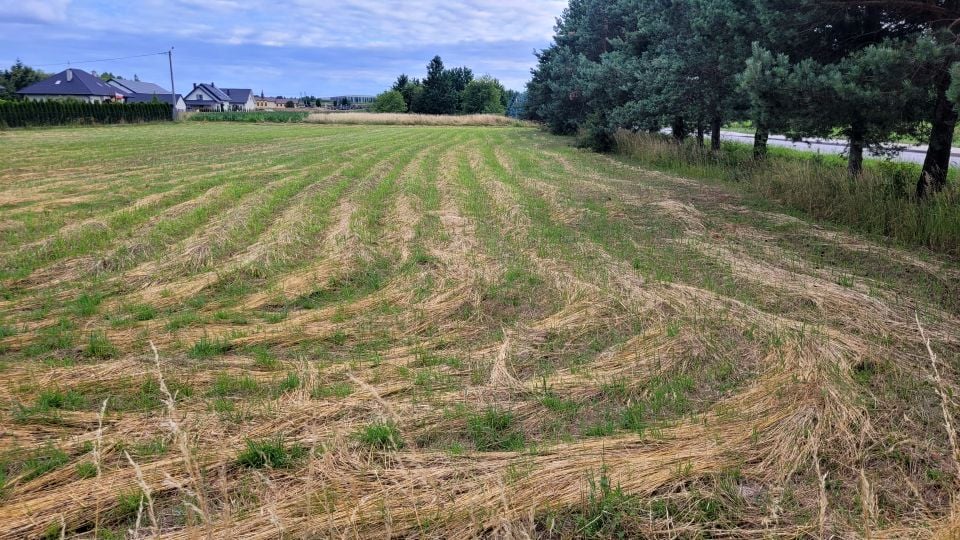 Działka budowlana Rudna Wielka