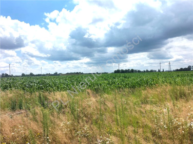Działka Zabłotnia