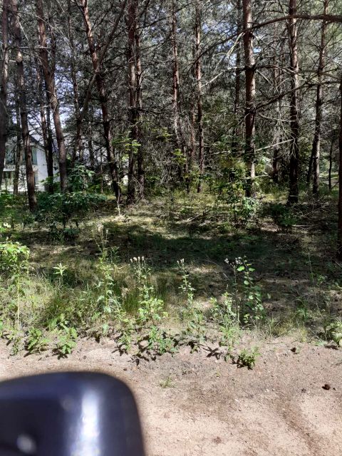 Działka Pasym