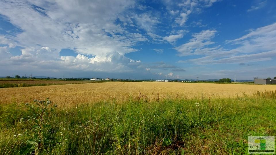 Działka budowlana Pieszyce sprzedam