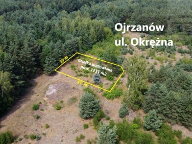 Działka Ojrzanów-Towarzystwo