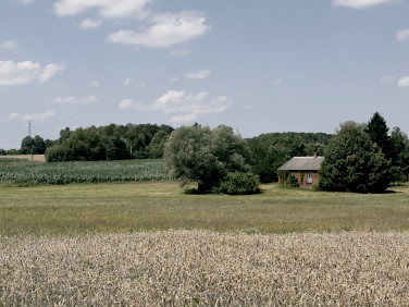 Działka budowlano-rolna Zwola Poduchowna sprzedam