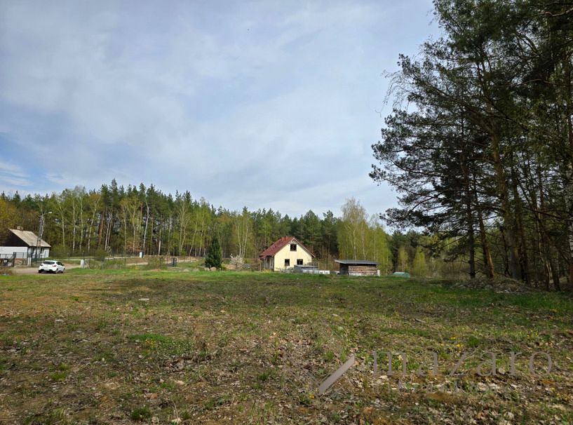 Działka przy lesie
