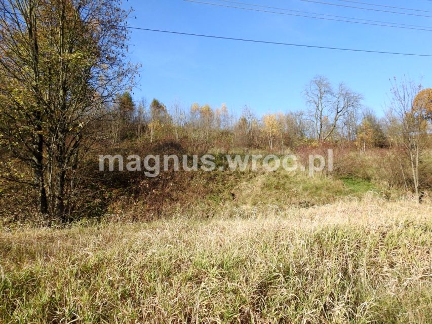 Zalesiona działka Jabłów