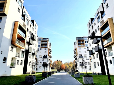 Mieszkanie apartamentowiec wynajem