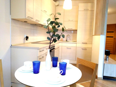 Mieszkanie apartamentowiec wynajem