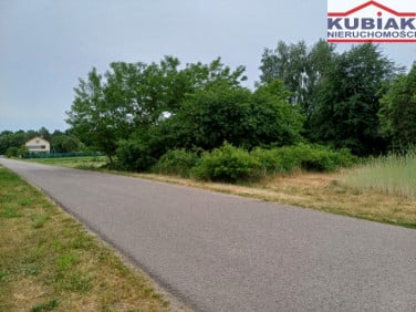 Działka Puszcza Mariańska