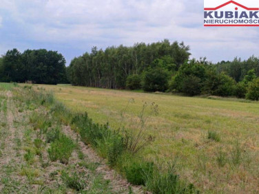 Działka Puszcza Mariańska