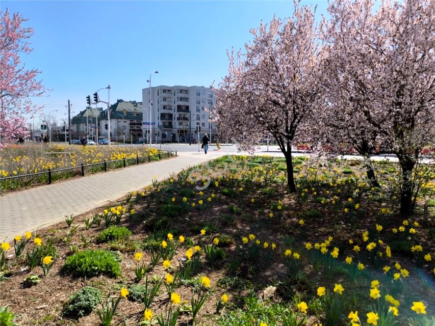 Mieszkanie Warszawa