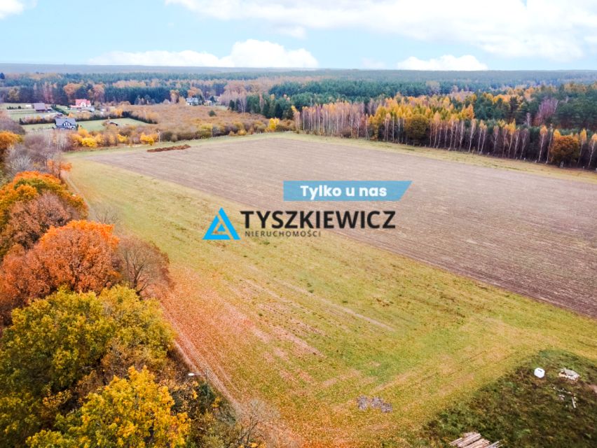Działka Szczenurze