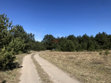 Działka rolna sprzedam