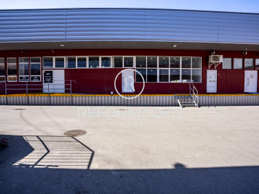 Lokal Rzeszów wynajem