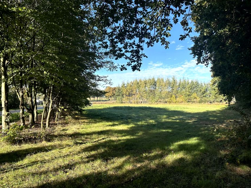 Działka Piasek