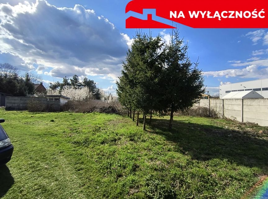 Zdjęcie 3