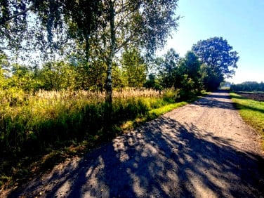 Pusta działka Lubienia