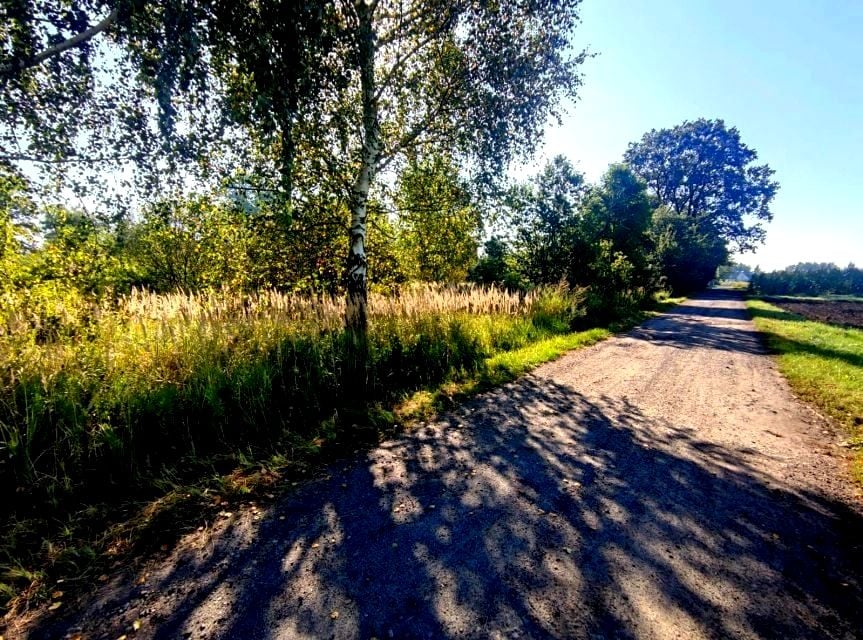 Pusta działka Lubienia