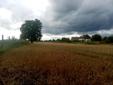 Działka Kępa