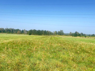 Działka Stare Siołkowice