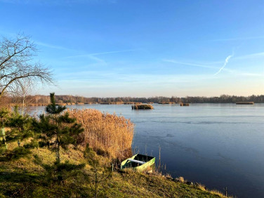 Działka Zdzieszowice