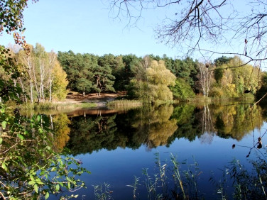 Działka Bartoszewo