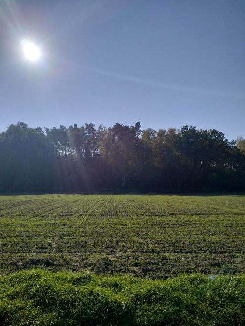 Działka Ziemiełowice