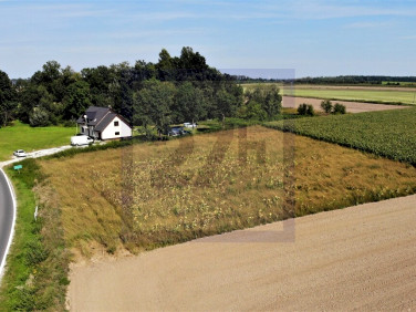 Działka Skałka