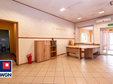 Lokal Elbląg