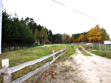 Działka Szkotowo