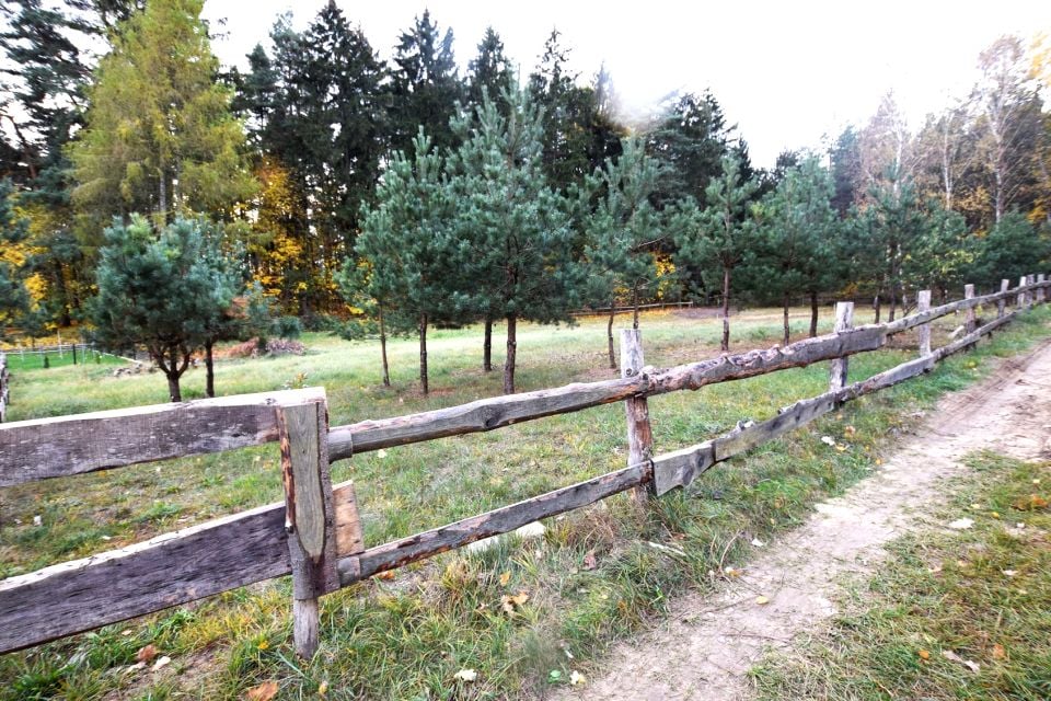 Zdjęcie 2