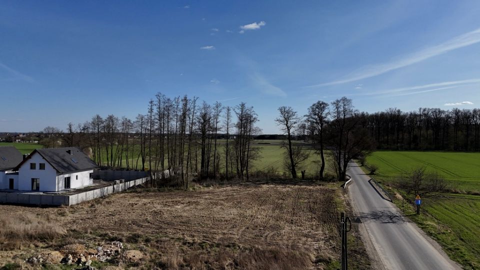 Działka przy lesie