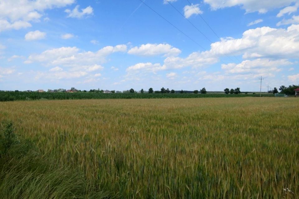 Zdjęcie 2