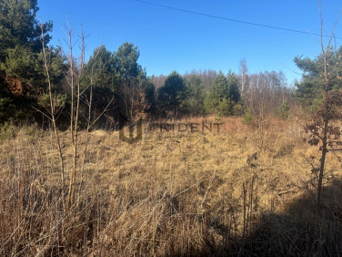 Działka Biały Ług