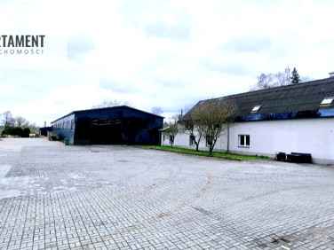 Lokal Wołów
