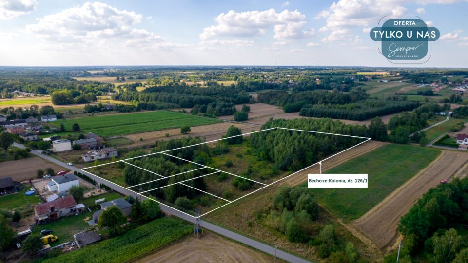 Działka Bechcice-Kolonia