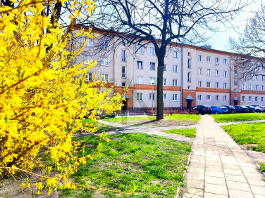 Mieszkanie Częstochowa