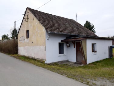 Dom Kotórz Mały