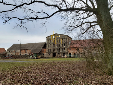 Dom Wojciechów