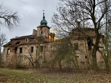 Dom Wojciechów