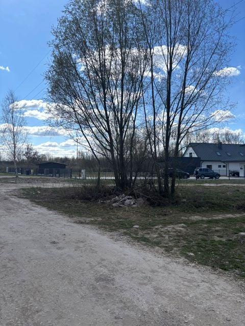 Zdjęcie 3