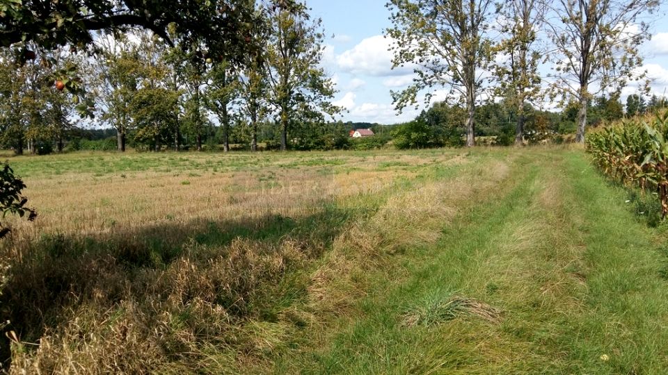 Działka budowlano-rolna Leszno