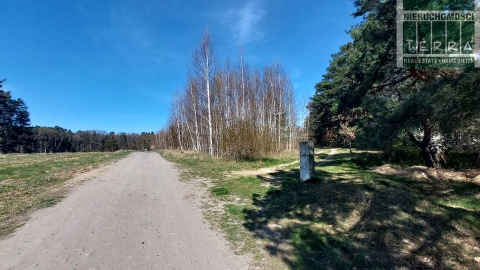 Zdjęcie 3