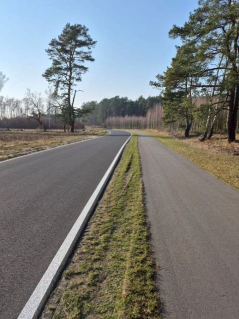 Działka Reptowo